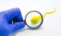 Doctor inspecting illustrated sperm with a magnifying glass