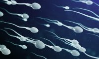 Sperm travelling close up 3D illustration